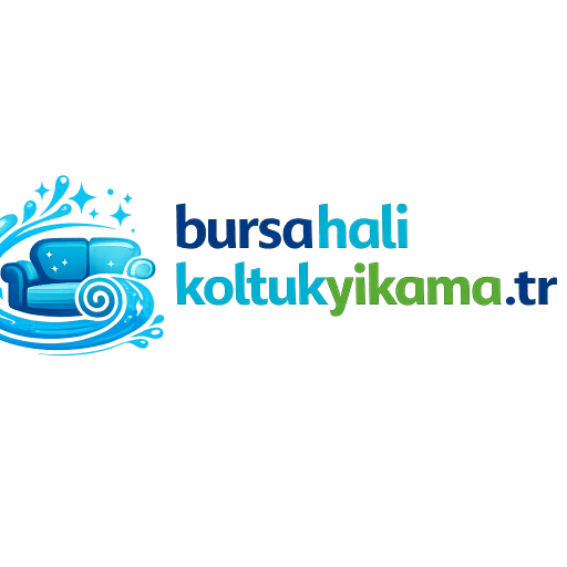 Bursa halı ve koltuk yıkama